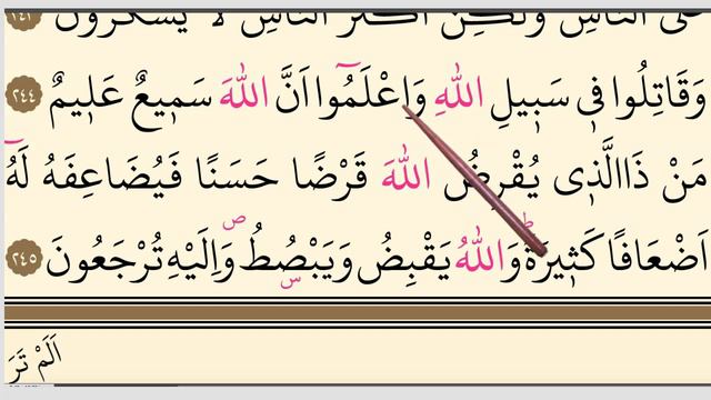 Quran Lessons with Practical Tajweed 🌺Surah al-Baqarah, Verses 243-245 سورۃ البقرۃ #Lesson51 смотреть онлайн