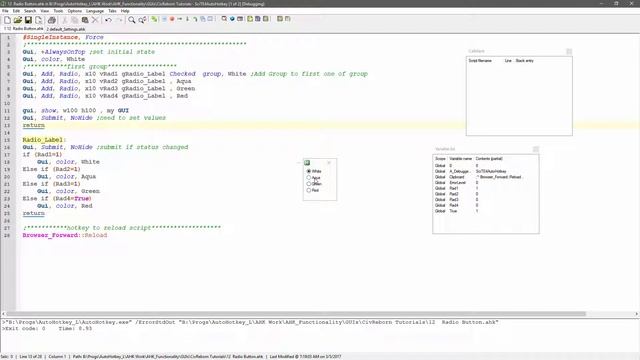Gui with Radio button and debugging смотреть онлайн