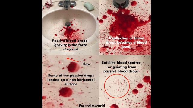 The Bloody Sink смотреть онлайн