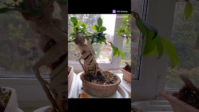 Моя группа в ВК