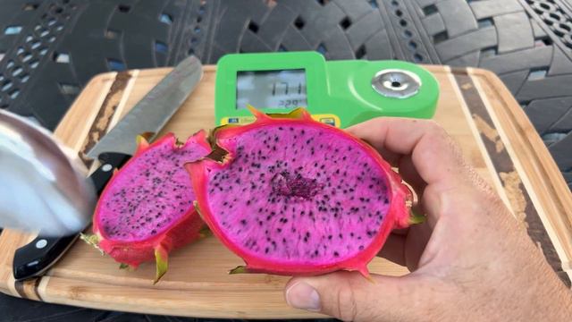 Maria Fucsia Dragon fruit TASTE and REVIEW / EXCELLENT / Guess the BRIX? смотреть онлайн