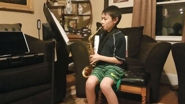 ISRAELI NATIONAL ANTHEM | HATIKVAH | ALTO SAXOPHONE by LANCE V смотреть онлайн