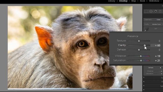 Lightroom Classic CC Update: What's new in May 2019? смотреть онлайн