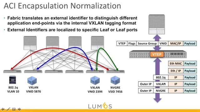 Module 06 Fabric Operation And Forwarding смотреть онлайн