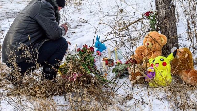 ЗАБАЙКАЛИЕ СОБАКИ ЗАГРЫЗЛИ ДЕВОЧКУ. смотреть онлайн