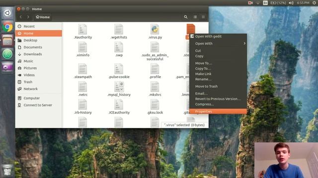 Super Annoying Python Pranking Virus Tutorial смотреть онлайн