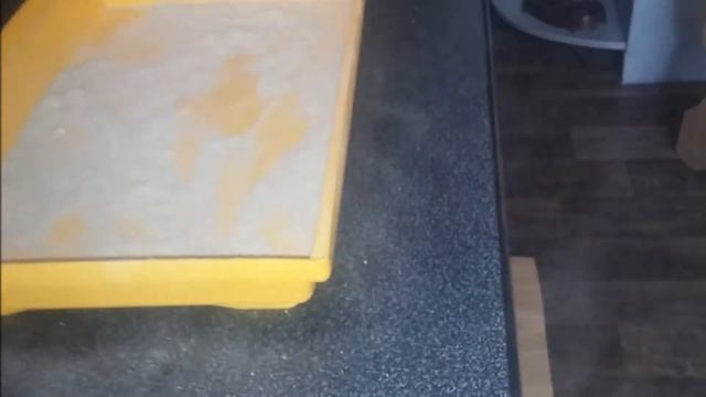 Шиншила купание в песке Chinchilla Dust Bath смотреть онлайн