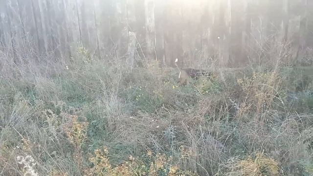 утренняя свежесть на лимане. смотреть онлайн