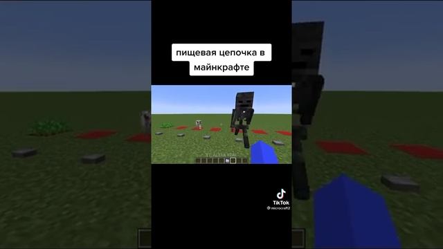 пищевая цепь в Майнкрафте смотреть онлайн