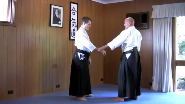 Basic Aikido Techniques
