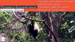 Самые живописные объекты Всемирного наследия ЮНЕСКО