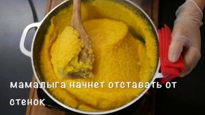 Мамалыга с рыбой и муждеем. Mămăligă cu pește și mujdei.