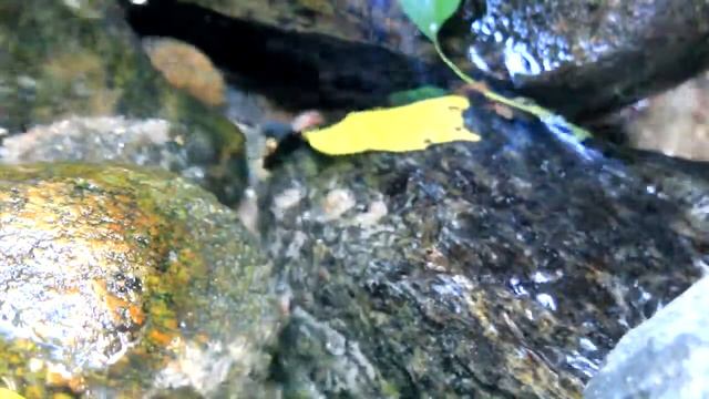 Ручей Звуки природы ☂ 20 минут смотреть онлайн