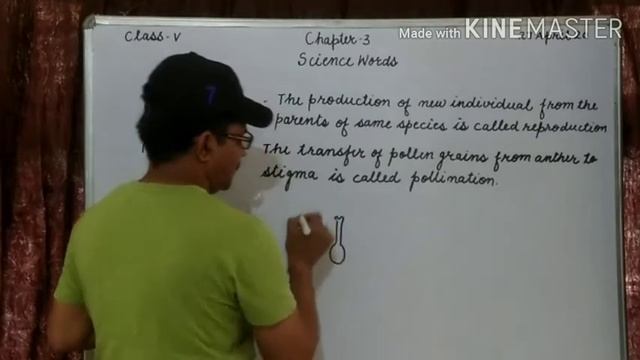 CHAPTER 3 SCIENCE WORDS| PART 2 | CLASS V смотреть онлайн