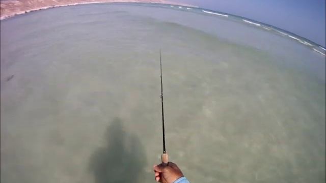 Fly Fishing for Arabian Permit Part 2 2012 смотреть онлайн