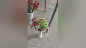 Пасха Христова. Храмовая флористика. Украшение цветами храма