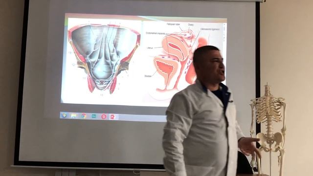 Брюшина / Peritoneum. Серозные оболочки смотреть онлайн