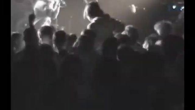 Amarula - Psy (live in PV) смотреть онлайн