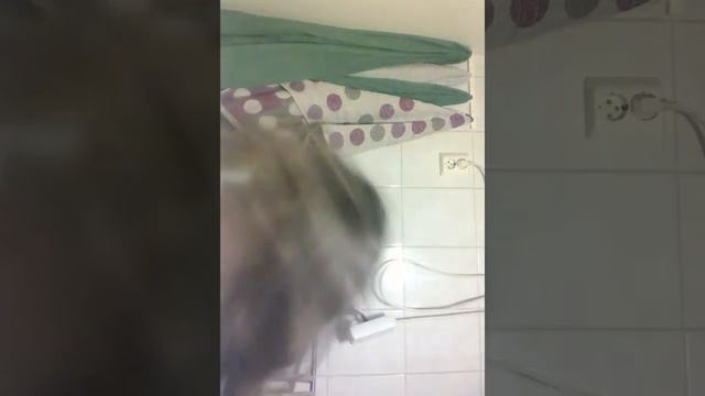 Мою свою кота! 😱 Очень сложно бегать за котом в ванной. смотреть онлайн