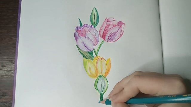Как нарисовать букет тюльпанов цветными карандашами ???