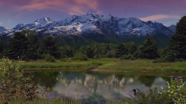 ?Коран Для успокоения души❤Сура Аль Имран ? Sūratu Āl 'Imrān Relaxing Quran recitation смотреть онлайн