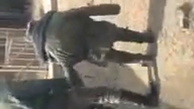 лилипутики смотреть онлайн