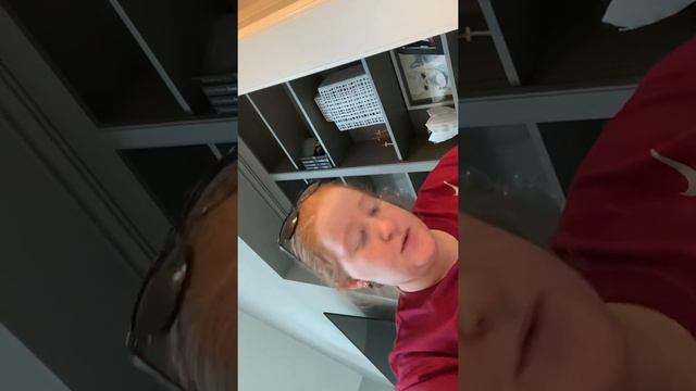 Hibiscus Syriacus смотреть онлайн