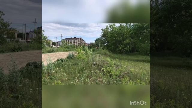 Жеребец иноходец. Продажа смотреть онлайн