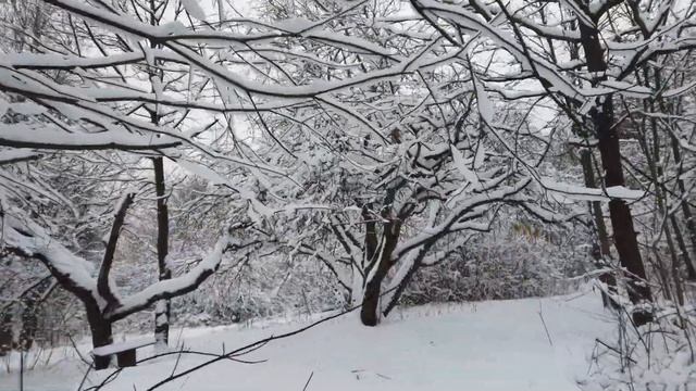 Старый Новый год   чай на снегу