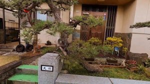 Жилые районы в Японии. Японские дома и тесные улицы.