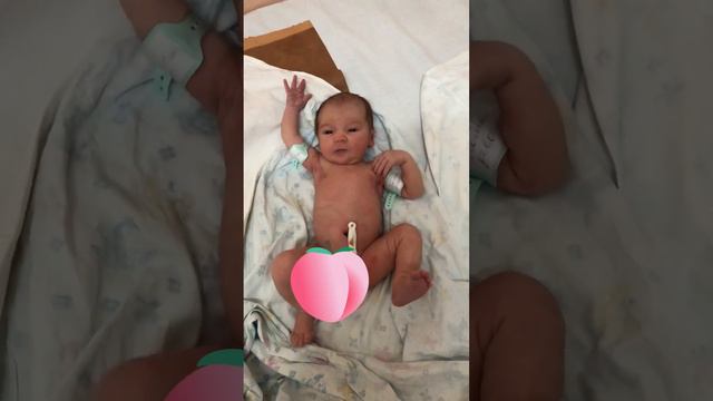 Первые дни жизни маленькой Дианы в роддоме смотреть онлайн