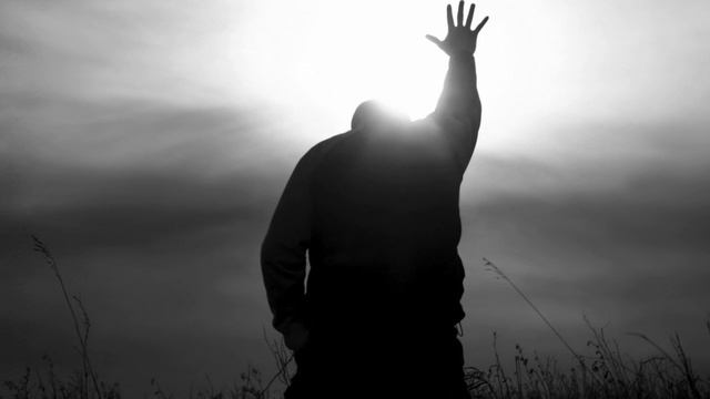 Алексей Мандельштам - След (Не улетай)