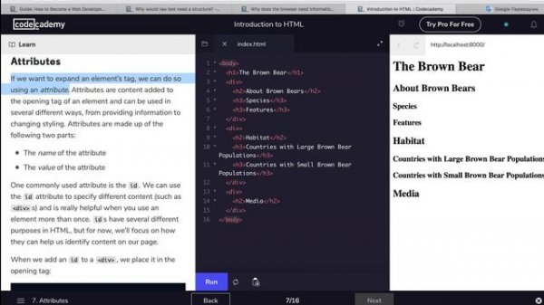 Прохождение Codecademy HTML курс: часть 1