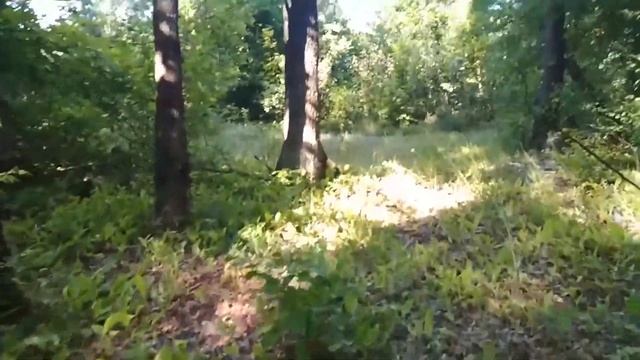 01.08.2019 Липецкая обл. район "Паруса" Часть 1 смотреть онлайн