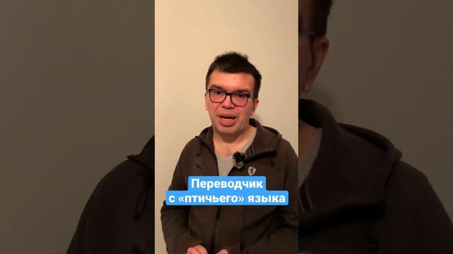Стань переводчиком с птичьего языка! смотреть онлайн