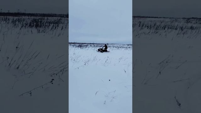 Тесты Тофалар Атлас500 #снегоход #тофалар #атлас #атлас500 смотреть онлайн