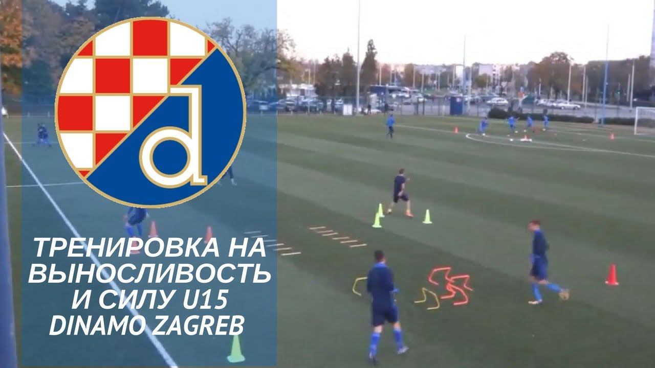 Тренировка на выносливость и силу Dinamo Zagreb U15 смотреть онлайн