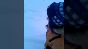 Песня «Лес дремучий снегами покрыт»