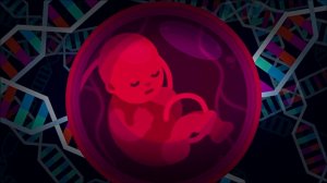 Из чего состоит ваше тело? Что такое ДНК?