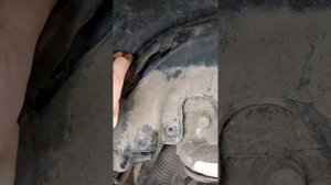 Ризина на Солярис 205/55/16