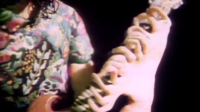 Frank Zappa Dirty Love