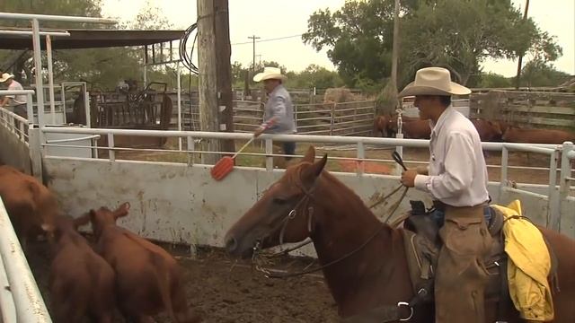 King Ranch Roundup, Cowboys Work Area Larger than Rhode Island смотреть онлайн