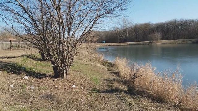 Георгиевск,  Краснокумское. Северный Кавказ зимой. январь 2019