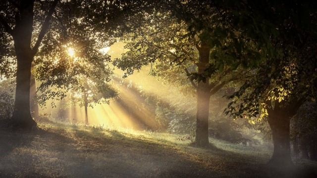 Как остановить негативные мысли | Ченнелинг Numerorum смотреть онлайн