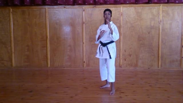 Kihon Kata San of Ashihara Karate смотреть онлайн