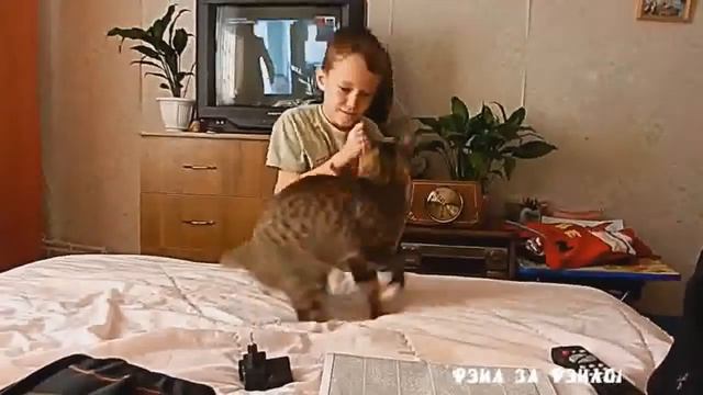 Дикий кот перегрыз шею ребенку смотреть онлайн