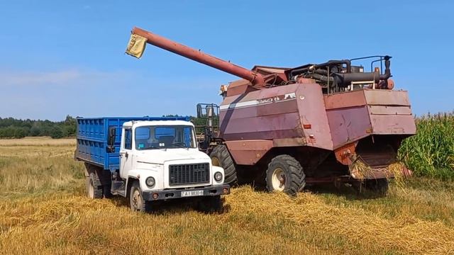Уборка урожая 2022 в Беларуси. GS 12 Полесье КЗС-1218. Овес. смотреть онлайн