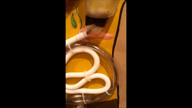 Working Model of Gastrointestinal (GIT) System - Digestive Tract смотреть онлайн