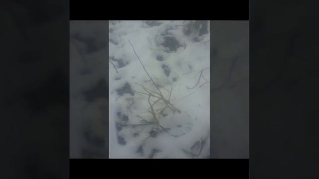 Оморок, переломить волю человека под себя смотреть онлайн