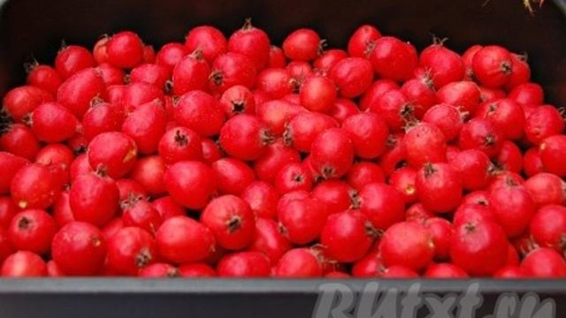 Кухня Мамашки